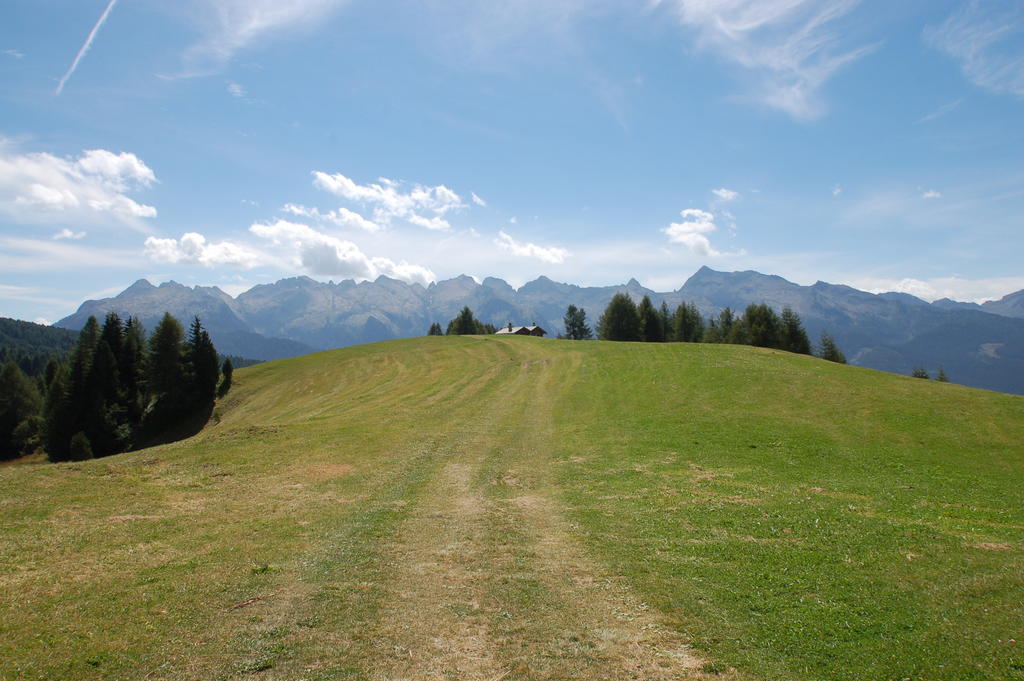Cimon Dolomites Hotel Predazzo Exteriör bild